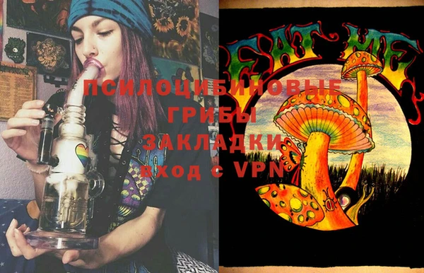 PSILOCYBIN Богородск