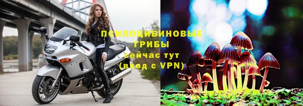 мяу мяу мука Беломорск